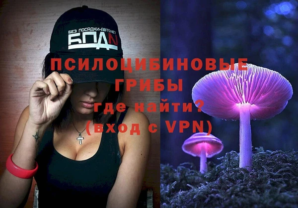гидропоника Абаза