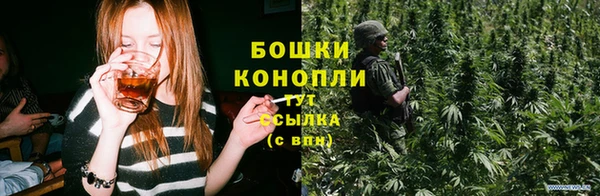 гидропоника Абаза